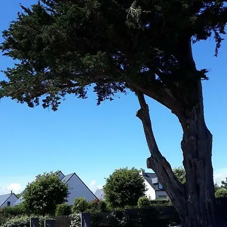 Auprès De Mon Arbre Saint-Gildas-de-Rhuys