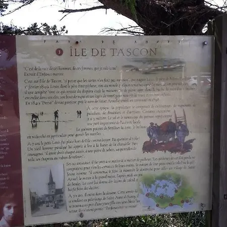 Auprès De Mon Arbre *